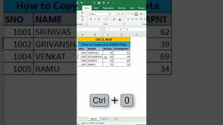 How to Copy Only Visible Cells in Excel  MS Excel Tutorial [upl. by Alcine]