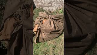 How NOT to leave full tarps behind tarps landscaper lawncare lawnmaintenance blowers [upl. by Nilyaj]