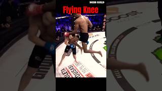 MVP Flying Knee recreate😱🔥 mma ytshorts shorts [upl. by Gallard]