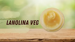 Como Fazer Lanolina Vegetal Caseira [upl. by Limoli]