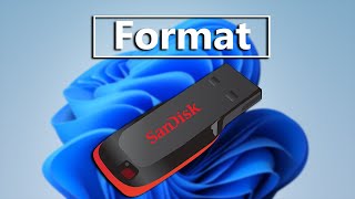 How To Format USB Flash Drive In Windows 11 [upl. by Garold]