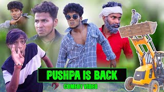 PUSHPA IS BACK  The Comedy Kingdom [upl. by Effie]