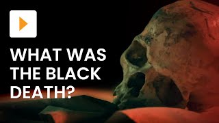 What Was The Black Death [upl. by Eachern58]