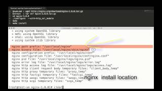 nginx installation on linux [upl. by Panthia278]