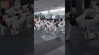 Taekwondo Side Kick Practice taekwondo shorts [upl. by Chapa930]