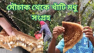 আমরা যেভাবে মৌচাক কাটলাম মৌমাছি জমানো মধু অনেক সাধ। Krishi Bangla 24 [upl. by Notnerb]