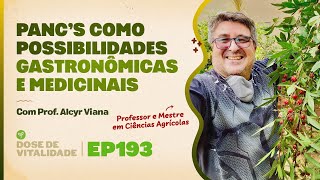 PANC’s Como Possibilidades Gastronômicas e Medicinais  DDV EP193 [upl. by Suirred630]