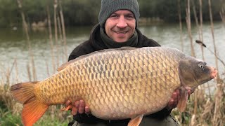 COKING FARM OAK LAKE PROPER BIG CARP CAUGHT [upl. by Narine]