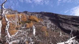 富士山・大沢崩れ（大沢休泊所～剣ヶ峰大沢・見晴台） [upl. by Joslyn]