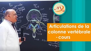 Articulations de la Colonne Vertébrale Cours [upl. by Bannasch]