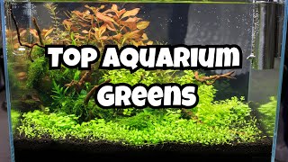 11 Best Aquarium Carpet Plants 🌿 [upl. by Natassia]