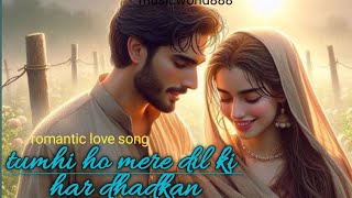 Tum hi ho mere Dil ki dhadkan romantic songs lyrics ðŸŽ§ðŸŽµðŸŽ§ðŸŽ§song [upl. by Pris]