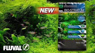 Fluval BioStratum  Volcanic Soil for Planted Aquariums [upl. by Sokul]