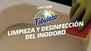 Limpieza y desinfección del inodoro  Hogar Fabuloso [upl. by Sauls793]