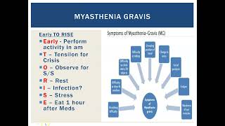 Myasthenia Gravis [upl. by Bracci]