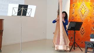 Anneleen Lenaerts plays Song to the Moon from Rusalka [upl. by Allerus912]