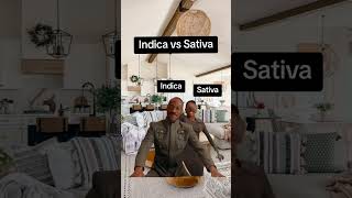 What is the difference between indica and sativa cannabiseducation [upl. by Yekcin]