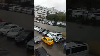 Şiddetli Yağmur Günü reelskeşfethaberrainrainsoundswelcomesubscribeshortvideoshorts [upl. by Lalib]