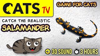 GAME FOR CATS  Realistic Salamander 🦎 3 HOURS CATS TV [upl. by Nilson]