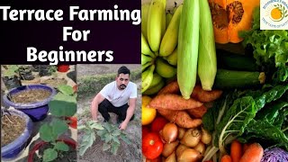 terrace farming for beginners [upl. by Nea763]