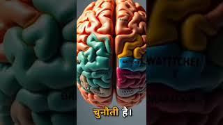 Brain story humanbrain knowledge shortvideo [upl. by Sebastiano]