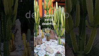 Jardim desértico exige cactos pois são resistentes à seca cactus plants shorts houseplants [upl. by Omero]