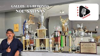 GALLOS 1\4 REDONDA CON NOE SALINAS [upl. by Tolecnal]