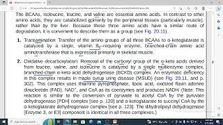 432 Branched chain amino acid catabolism and maple disease 2 [upl. by Pinckney869]