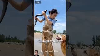 Alex Ne Machli pakad li🐠😍 dog funny pets story [upl. by Ailla]