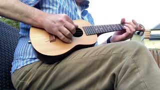 Beltona 5string ukulele blues [upl. by Balough71]