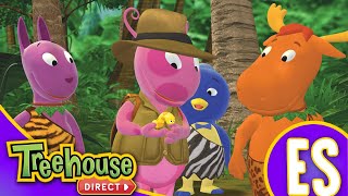 🔴 Los Backyardigans en Español  ¡Transmisión en Vivo [upl. by Cohdwell]