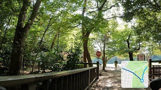 武蔵野グリーン 玉川上水・井の頭公園・三鷹・小金井公園～多摩湖サイクリングロード・小平 [upl. by Evyn734]