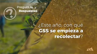 ¿Este año con qué GSS se empieza a recolectar [upl. by Assilev]