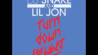 Turn Down For What Lil Jon Ft Juicy J 2 Chainz French Montana Pitbull amp Ludacris MegaMix [upl. by Arnelle747]