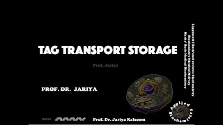 TAG SYNTHESIS TRANSPORT amp STORAGE [upl. by Cotter]