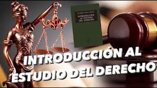 Teoría del Proceso  Roy Stuart Abogado [upl. by Ahsikit]