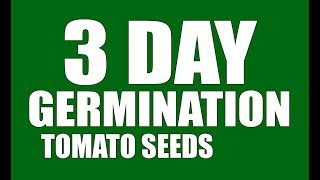 Tomato Seeds 3 Day Germination GrowLikeAPro [upl. by Tench]