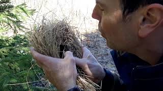 Enflammer un feu avec du coton carbonisé et un silex [upl. by Enetsirhc883]