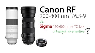 NEW Canon RF 200800 vs Sigma 150600 with TC 14x 210840mm [upl. by Javler]