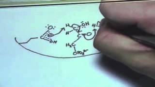 Triose Phosphate Isomerase [upl. by Lesiram]