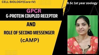 GPCR and Role Of Second MessengercAMP BSc 1st YearGProtein Coupled Receptor pathwayGPCRcAMP [upl. by Aniraz]