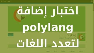 اختبار إضافة POLYLANG لموقع ووردبريس متعدد اللغات [upl. by Ayikahs446]