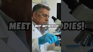 How Antibodies Protect Us 🛡️biology science antibodi [upl. by Fredrick808]