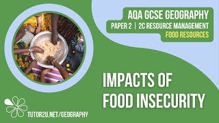 Impacts of Food Insecurity  AQA GCSE Geography  Food 3 [upl. by Anastasius]