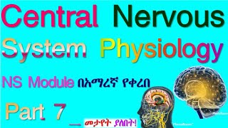 Central Nervous System Physiology NS Module Part 7 Based on the new Ethiopian Curriculum [upl. by Immac]