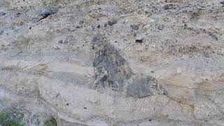 Phonolitic Phreatomagmatic Deposits from Caldera del Rey Adeje Region SW Tenerife [upl. by Broeder]