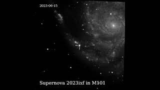 The rise and fall of SN2023ixf captured by ZTF [upl. by Nitsu281]