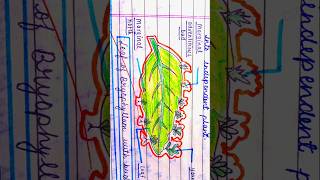 Biology figure of class 10 ncert biology drawing sketch art artist shorts [upl. by Eddi]