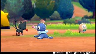 Camping With Litten Popplio amp Rowlet For Over An Hour  Pokemon Sword amp Shield [upl. by Helbon]