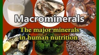 Macrominerals The Seven Major Minerals of Human Nutrition [upl. by Aynatal732]